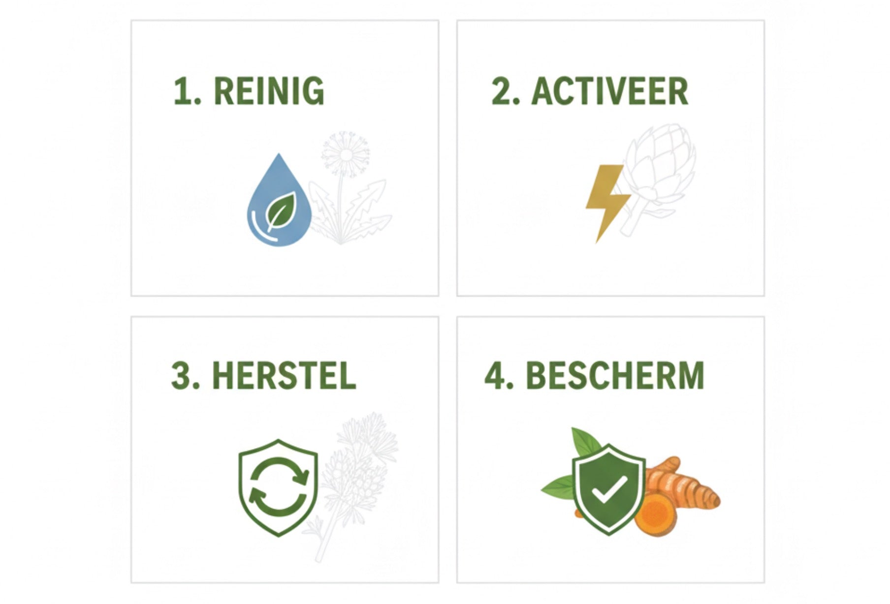 Het 4-in-1 Lever Vitaal systeem: Reinig, Activeer, Herstel, Bescherm